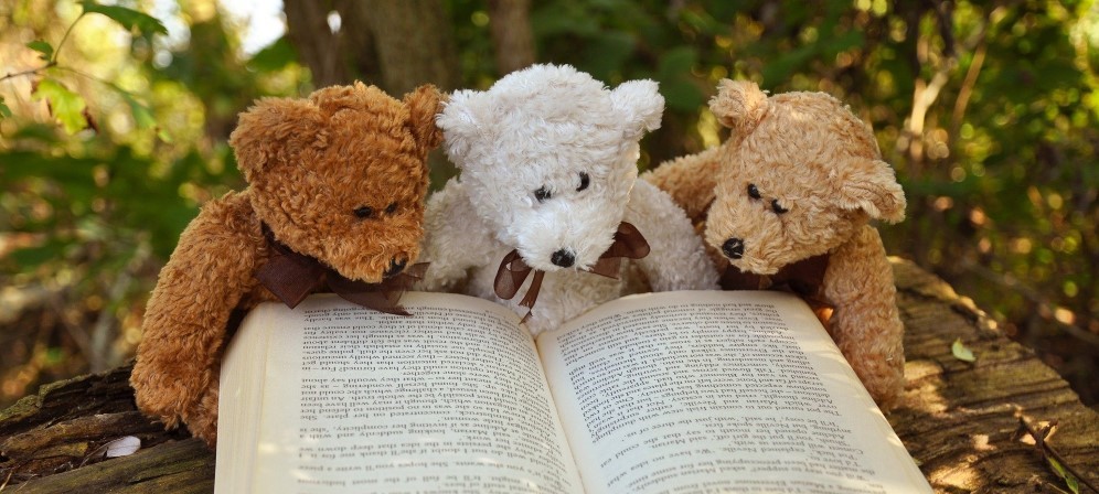 3 teddy bear book crop.jpg