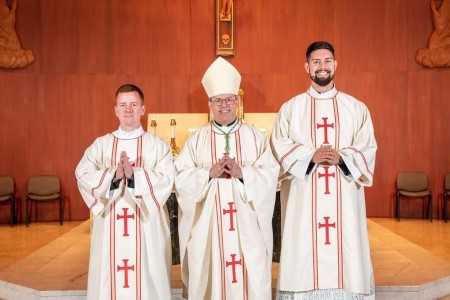 CC Dcn Ordination 2022