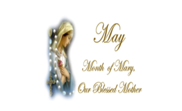 Rollup May Month of Mary