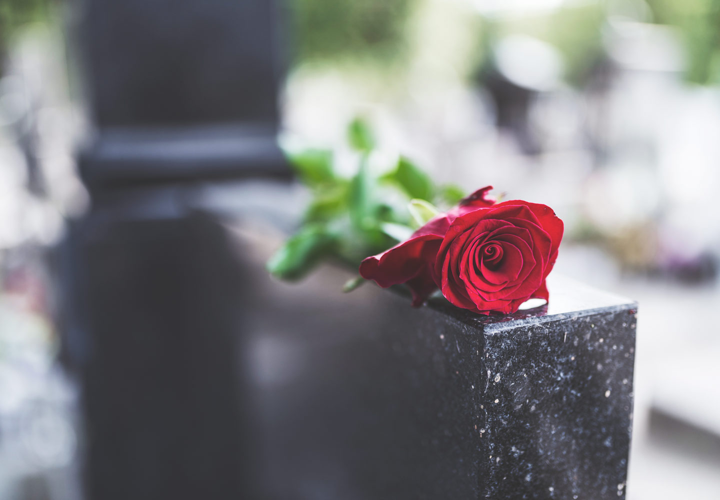 obituaries red rose