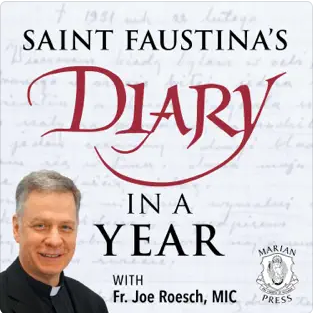 St.Faustina's Diary In A Year